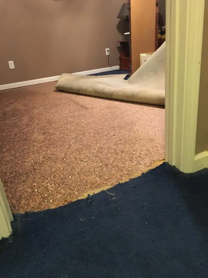 Carpet pad removal revealing water damage during Drying & Dehumidification in Marlborough